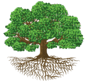 Presented by L.A. Mason & Associates